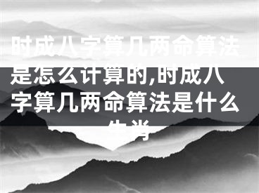 时成八字算几两命算法是怎么计算的,时成八字算几两命算法是什么生肖