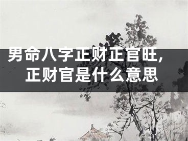 男命八字正财正官旺,正财官是什么意思