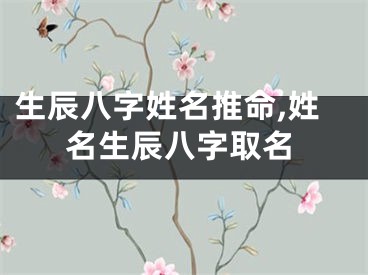 生辰八字姓名推命,姓名生辰八字取名