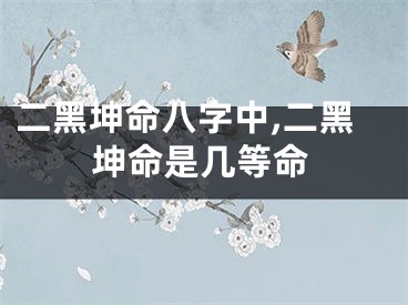 二黑坤命八字中,二黑坤命是几等命