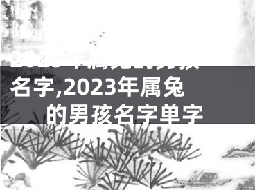 2023年属兔的男孩名字,2023年属兔的男孩名字单字