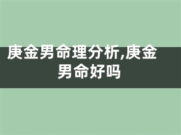 庚金男命理分析,庚金男命好吗