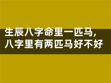 生辰八字命里一匹马,八字里有两匹马好不好