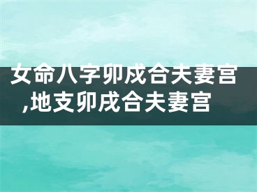 女命八字卯戍合夫妻宫,地支卯戌合夫妻宫