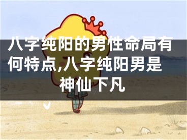 八字纯阳的男性命局有何特点,八字纯阳男是神仙下凡