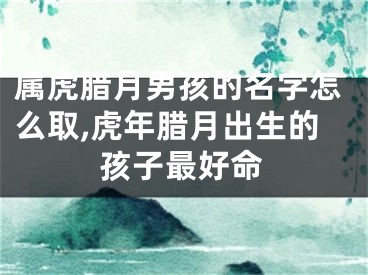 属虎腊月男孩的名字怎么取,虎年腊月出生的孩子最好命