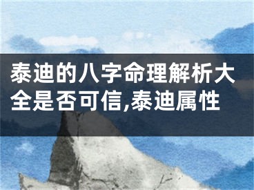 泰迪的八字命理解析大全是否可信,泰迪属性