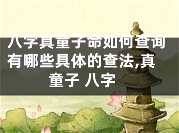 八字真童子命如何查询有哪些具体的查法,真童子 八字