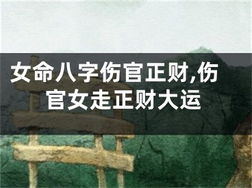 女命八字伤官正财,伤官女走正财大运