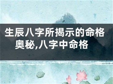 生辰八字所揭示的命格奥秘,八字中命格
