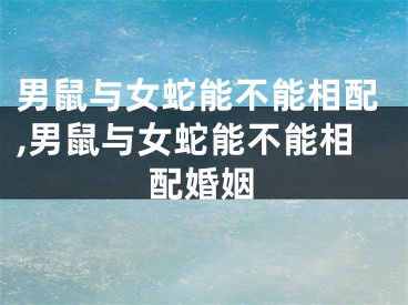 男鼠与女蛇能不能相配,男鼠与女蛇能不能相配婚姻