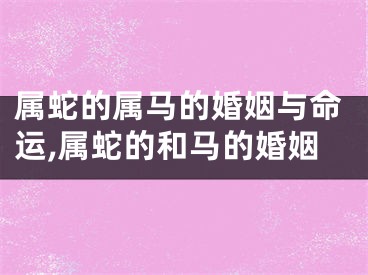 属蛇的属马的婚姻与命运,属蛇的和马的婚姻