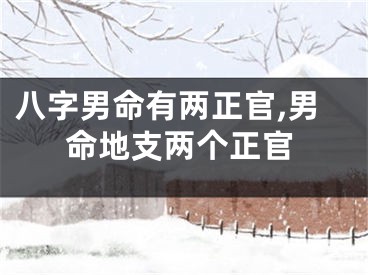 八字男命有两正官,男命地支两个正官