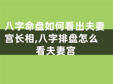 八字命盘如何看出夫妻宫长相,八字排盘怎么看夫妻宫