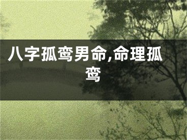 八字孤鸾男命,命理孤鸾