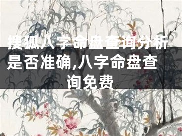 搜狐八字命盘查询分析是否准确,八字命盘查询免费