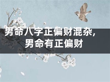 男命八字正偏财混杂,男命有正偏财