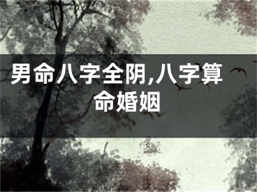 男命八字全阴,八字算命婚姻
