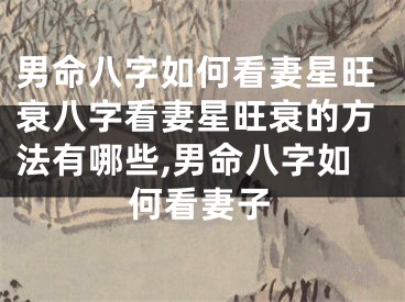 男命八字如何看妻星旺衰八字看妻星旺衰的方法有哪些,男命八字如何看妻子