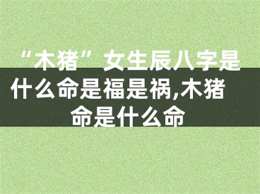“木猪”女生辰八字是什么命是福是祸,木猪命是什么命