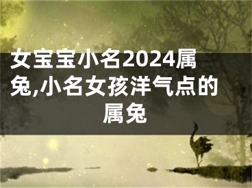 女宝宝小名2024属兔,小名女孩洋气点的属兔