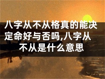 八字从不从格真的能决定命好与否吗,八字从不从是什么意思