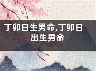 丁卯日生男命,丁卯日出生男命