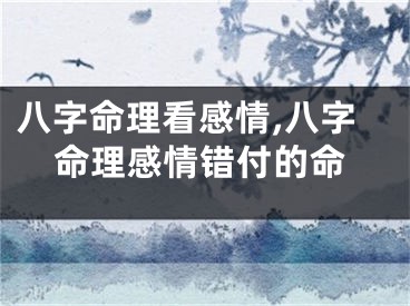 八字命理看感情,八字命理感情错付的命