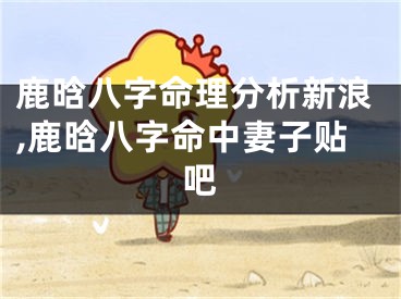 鹿晗八字命理分析新浪,鹿晗八字命中妻子贴吧