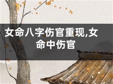 女命八字伤官重现,女命中伤官