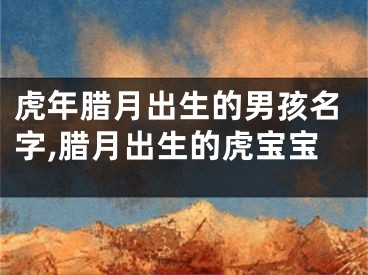 虎年腊月出生的男孩名字,腊月出生的虎宝宝