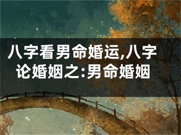 八字看男命婚运,八字论婚姻之:男命婚姻