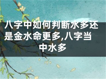 八字中如何判断水多还是金水命更多,八字当中水多