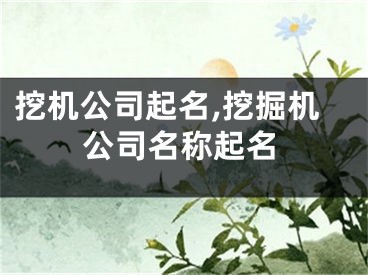 挖机公司起名,挖掘机公司名称起名