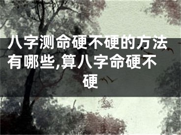 八字测命硬不硬的方法有哪些,算八字命硬不硬