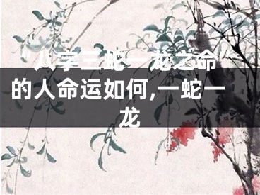 “八字三蛇一龙之命”的人命运如何,一蛇一龙