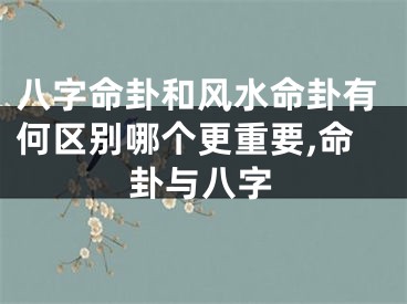 八字命卦和风水命卦有何区别哪个更重要,命卦与八字