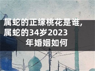 属蛇的正缘桃花是谁,属蛇的34岁2023年婚姻如何