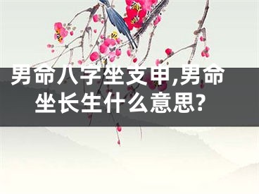 男命八字坐支申,男命坐长生什么意思?