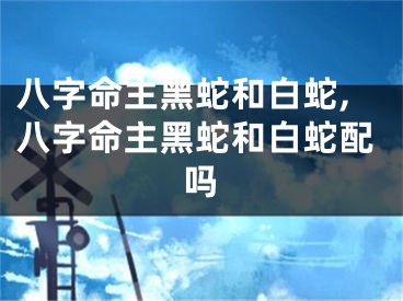 八字命主黑蛇和白蛇,八字命主黑蛇和白蛇配吗