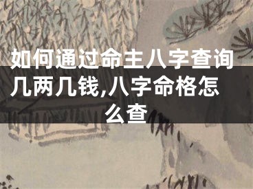 如何通过命主八字查询几两几钱,八字命格怎么查