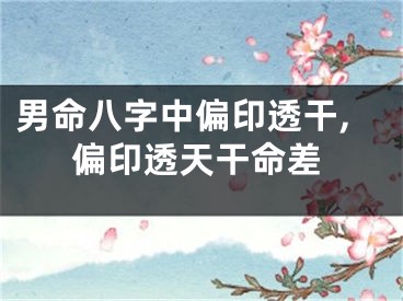 男命八字中偏印透干,偏印透天干命差