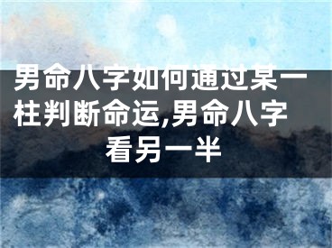 男命八字如何通过某一柱判断命运,男命八字看另一半
