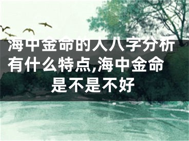 海中金命的人八字分析有什么特点,海中金命是不是不好