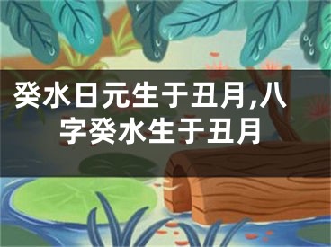 癸水日元生于丑月,八字癸水生于丑月