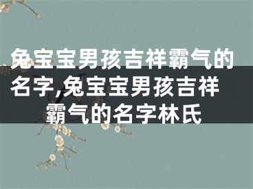 兔宝宝男孩吉祥霸气的名字,兔宝宝男孩吉祥霸气的名字林氏