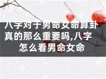 八字对于男命女命算卦真的那么重要吗,八字怎么看男命女命