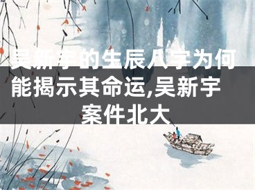 吴新宇的生辰八字为何能揭示其命运,吴新宇案件北大