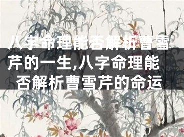 八字命理能否解析曹雪芹的一生,八字命理能否解析曹雪芹的命运