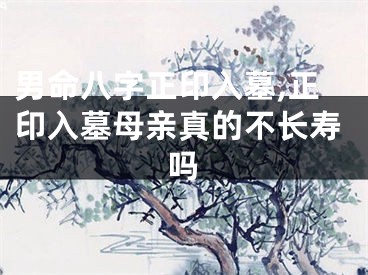男命八字正印入墓,正印入墓母亲真的不长寿吗